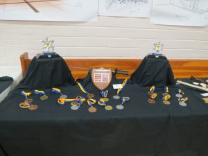 Nordschlag medals, HEMA medals, martial arts tournament medals,